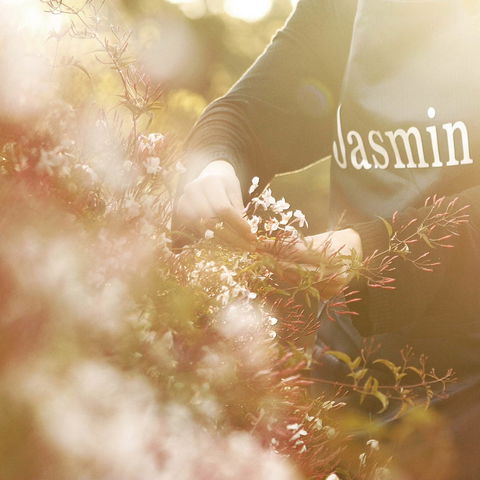 Jasmin Organics Skincare Farm And Factory - Port Augusta Accommodation 8