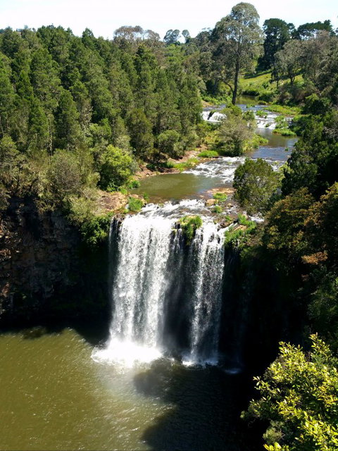 A1 Coffs Coast Tours - Port Augusta Accommodation 5