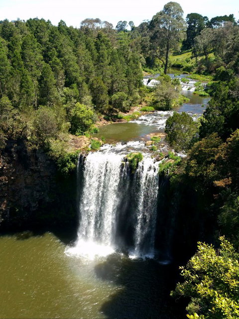 A1 Coffs Coast Tours - Port Augusta Accommodation 6