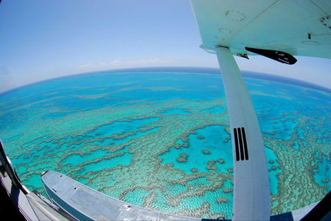 Air Whitsunday Seaplanes - Port Augusta Accommodation 0