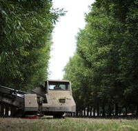 ODempseys Charters and Tours - Port Augusta Accommodation