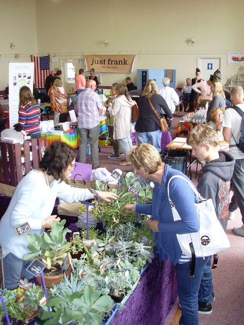 Health Harmony And Happiness Festival - Port Augusta Accommodation 0