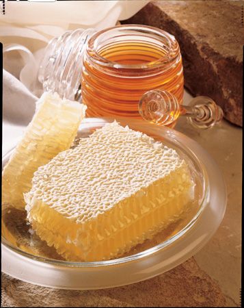 The Honey Place - Port Augusta Accommodation 1