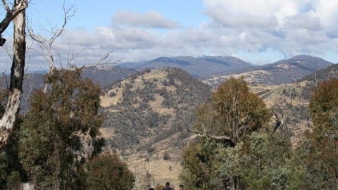Mt Tennent - Port Augusta Accommodation 0
