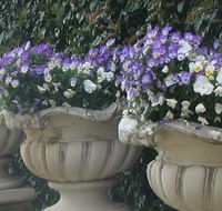 Gardenalia Open Garden and Rare Plant Nursery - Port Augusta Accommodation