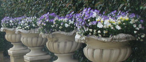 Gardenalia Open Garden And Rare Plant Nursery - Port Augusta Accommodation 0