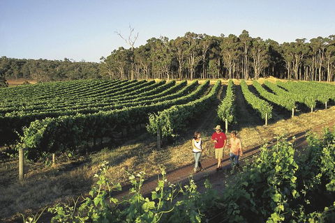 Margaret River, Caves, Wine And Cape Leeuwin Lighthouse Tour From Perth - Port Augusta Accommodation 0