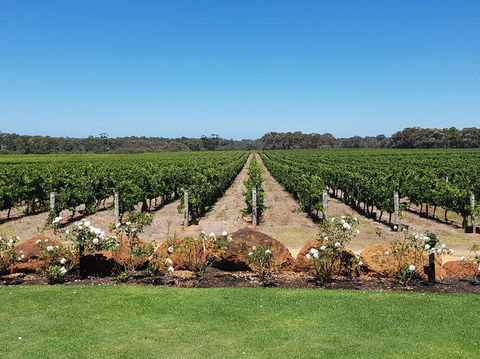 Margaret River Food, Wine & Sightseeing Tour From Perth - Port Augusta Accommodation 5