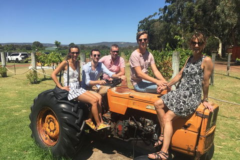 Half Day Swan Valley Wine Tour - Port Augusta Accommodation 6
