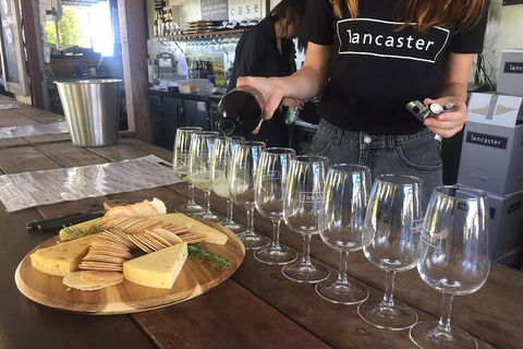 Half Day Swan Valley Wine Tour - Port Augusta Accommodation 8