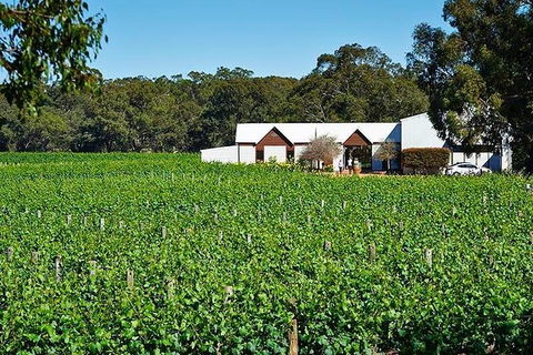 Upper Reach Winery: Swan Valley Winery And Vineyard Tour - Port Augusta Accommodation 0