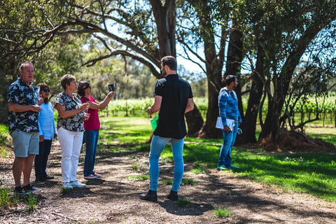 Upper Reach Winery: Swan Valley Winery And Vineyard Tour - Port Augusta Accommodation 8
