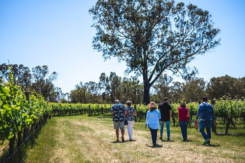 Upper Reach Winery: Swan Valley Winery And Vineyard Tour - Port Augusta Accommodation 3