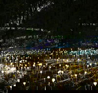 National Anzac Centre Field of Light Panorama Pass - Port Augusta Accommodation