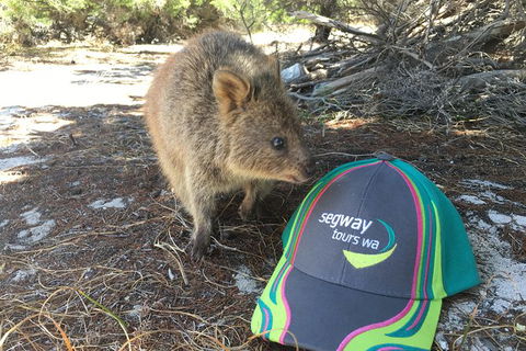 Rottnest Island Segway Tour: Fortress Adventure Tour - Port Augusta Accommodation 3