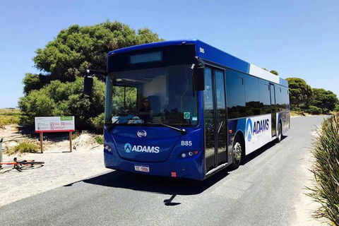 Rottnest Island Bayseeker Day Trip From Perth With Transfer - Port Augusta Accommodation 0
