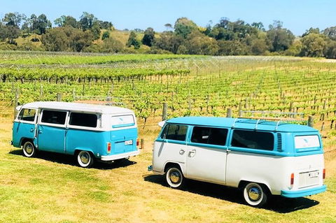 VW Kombi Wine Tour In The Swan Valley - Port Augusta Accommodation 6