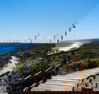 Torndirrup National Park and Bay Highlights - Port Augusta Accommodation