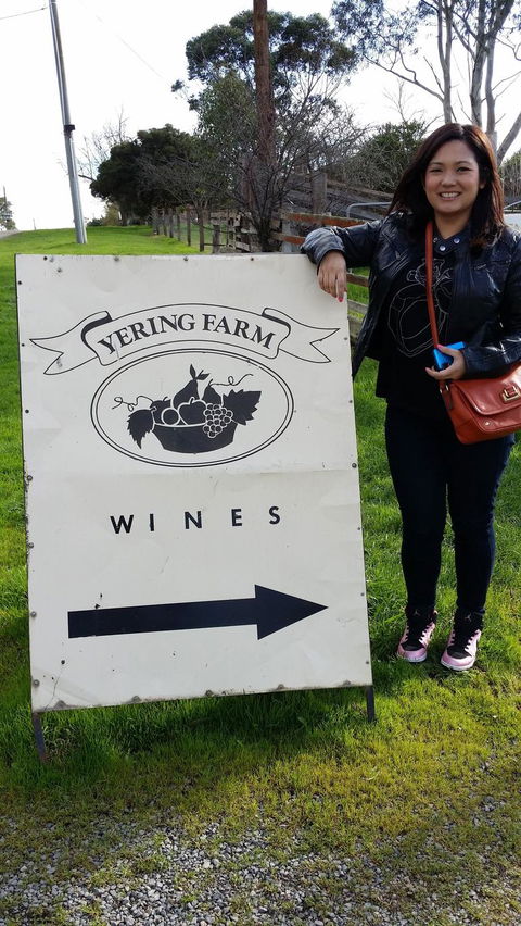 Yarra Valley Wine And Winery Tour From Melbourne - Port Augusta Accommodation 18