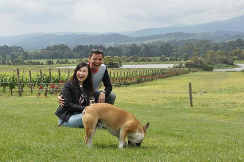 Yarra Valley Wine And Winery Tour From Melbourne - Port Augusta Accommodation 6