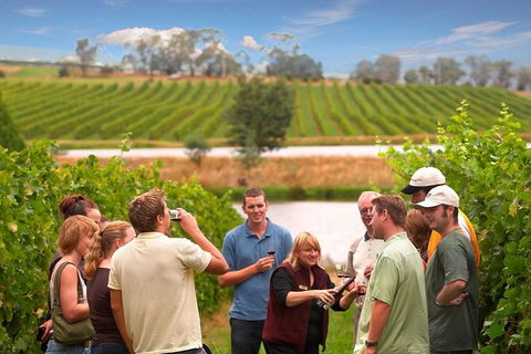 Yarra Valley Wine And Winery Tour From Melbourne - Port Augusta Accommodation 26