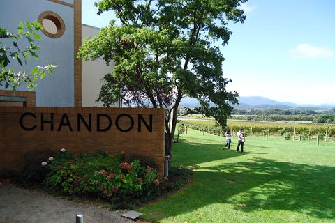 Yarra Valley Wine And Winery Tour From Melbourne - Port Augusta Accommodation 29