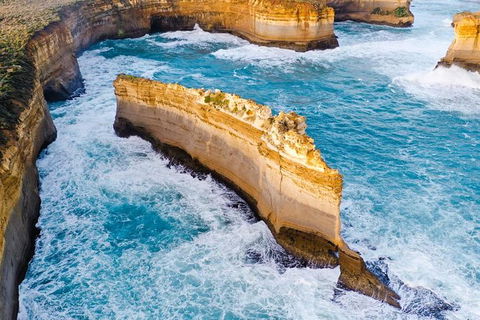 Small-Group Great Ocean Road Day Trip From Melbourne - Port Augusta Accommodation 1