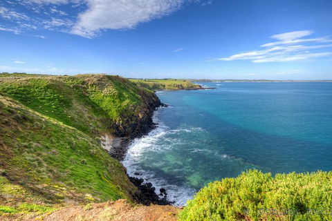 Phillip Island Penguin Parade Entry And Express Shuttle From Melbourne - Port Augusta Accommodation 1