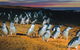 Phillip Island Tour From Melbourne - thumb 0