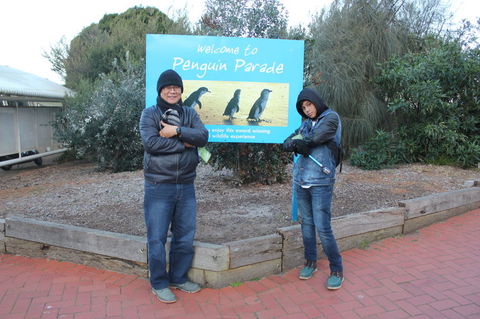 Phillip Island Tour From Melbourne - Port Augusta Accommodation 15