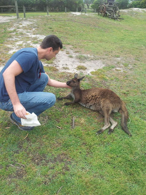 Phillip Island Tour From Melbourne - Port Augusta Accommodation 24