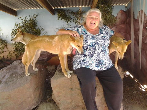 Phillip Island Tour From Melbourne - Port Augusta Accommodation 9