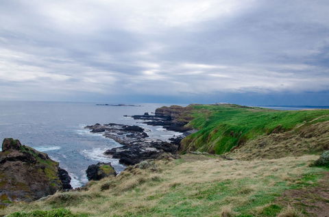 Phillip Island Tour From Melbourne - Port Augusta Accommodation 17