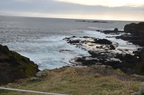 Phillip Island Tour From Melbourne - Port Augusta Accommodation 5