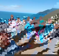 Great Ocean Road Small Group Tour