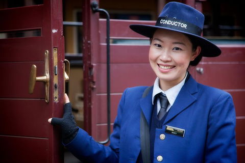 Puffing Billy, Moonlit Sanctuary & Penguins Day Tour - Port Augusta Accommodation 1