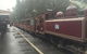 Puffing Billy, Moonlit Sanctuary & Penguins Day Tour - thumb 2