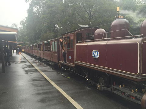 Puffing Billy, Moonlit Sanctuary & Penguins Day Tour - Port Augusta Accommodation 2