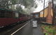 Puffing Billy, Moonlit Sanctuary & Penguins Day Tour - thumb 3