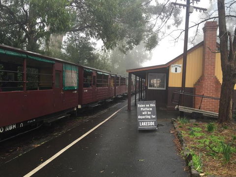 Puffing Billy, Moonlit Sanctuary & Penguins Day Tour - Port Augusta Accommodation 3
