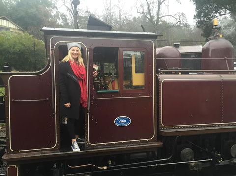 Puffing Billy, Moonlit Sanctuary & Penguins Day Tour - Port Augusta Accommodation 5