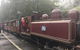 Puffing Billy, Moonlit Sanctuary & Penguins Day Tour - thumb 13