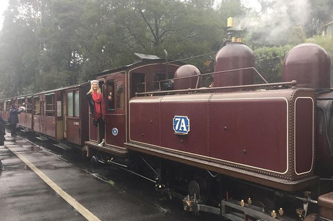 Puffing Billy, Moonlit Sanctuary & Penguins Day Tour - Port Augusta Accommodation 13