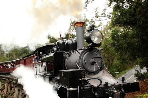 Puffing Billy, Moonlit Sanctuary & Penguins Day Tour - Port Augusta Accommodation 9
