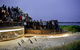 Puffing Billy, Moonlit Sanctuary & Penguins Day Tour - thumb 10