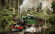 Puffing Billy, Moonlit Sanctuary & Penguins Day Tour - thumb 6