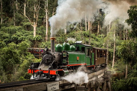 Puffing Billy, Moonlit Sanctuary & Penguins Day Tour - Port Augusta Accommodation 6