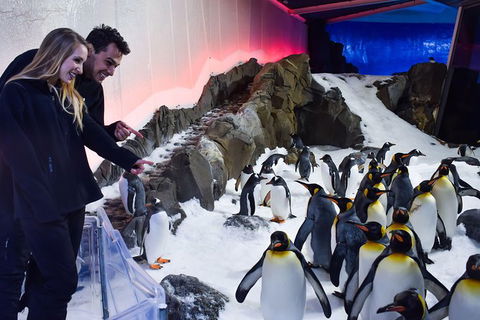 Penguin Passport At SEA LIFE Melbourne Aquarium - Port Augusta Accommodation 0