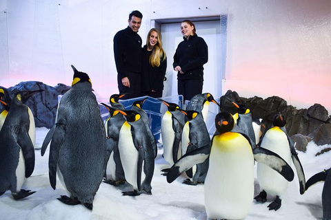 Penguin Passport At SEA LIFE Melbourne Aquarium - Port Augusta Accommodation 4