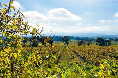 Alternative Yarra Valley Wine Tasting Tour Departing From Melbourne - Port Augusta Accommodation 4